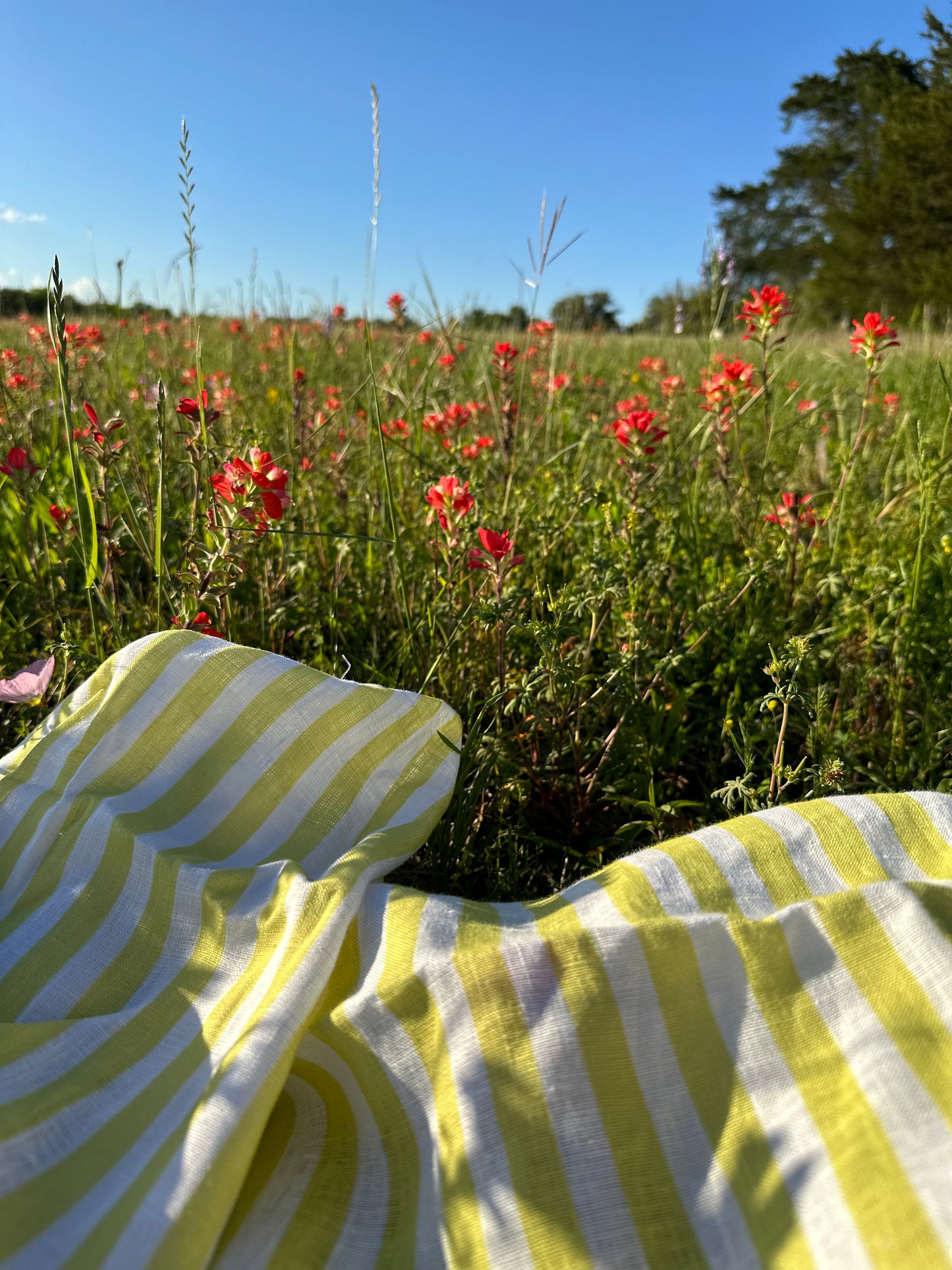 Chartreuse Stripe Linen Tablecloth